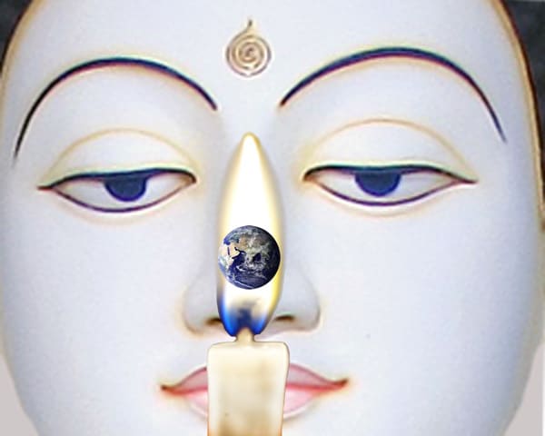 Meditation on Life
