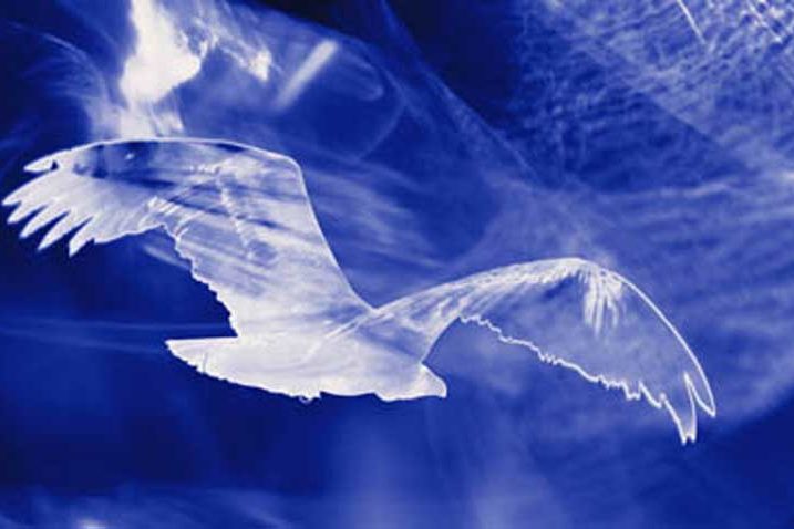 Chamanisme Loup Blanc