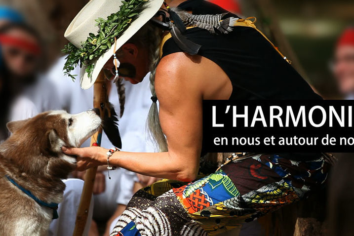 chamanisme loupblanc