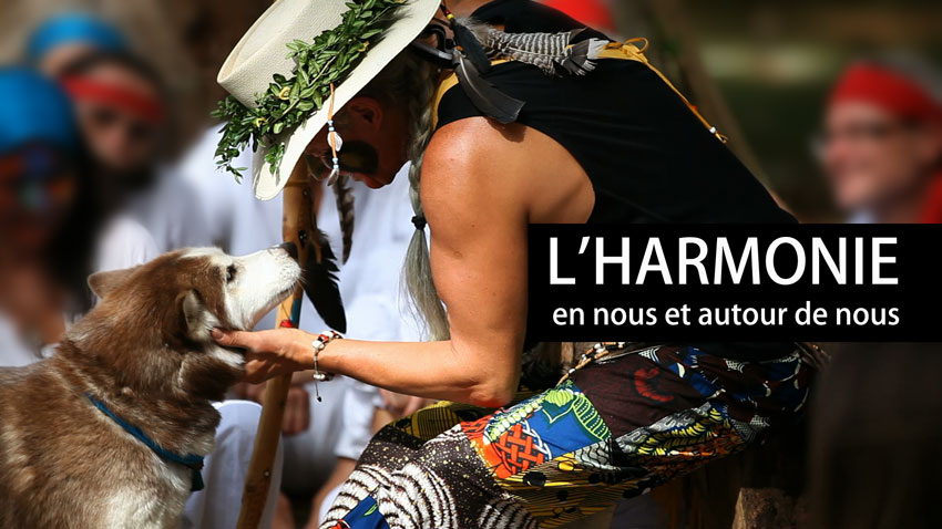 chamanisme loupblanc