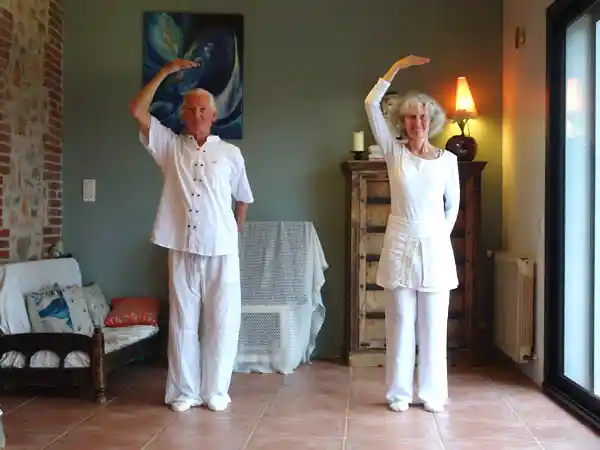 SMK - Salut Sei SMK - Salut Sei