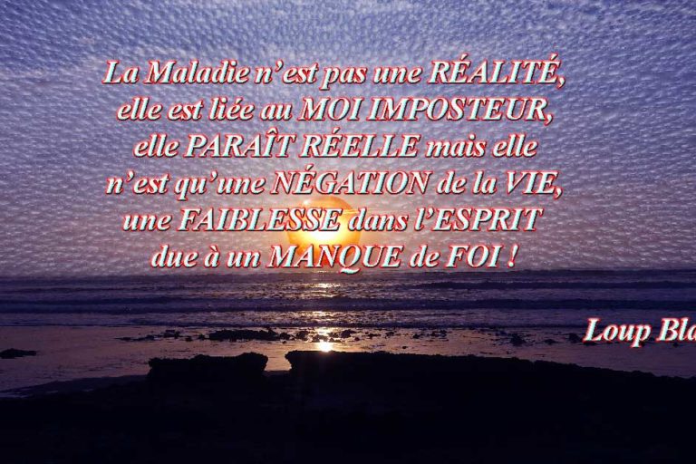 blog-guerison Aphorisme Loup Blanc