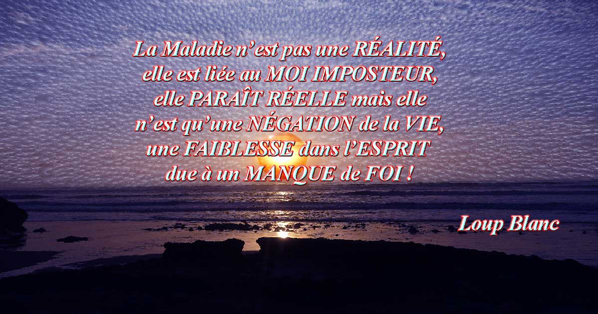 blog-guerison Aphorisme Loup Blanc