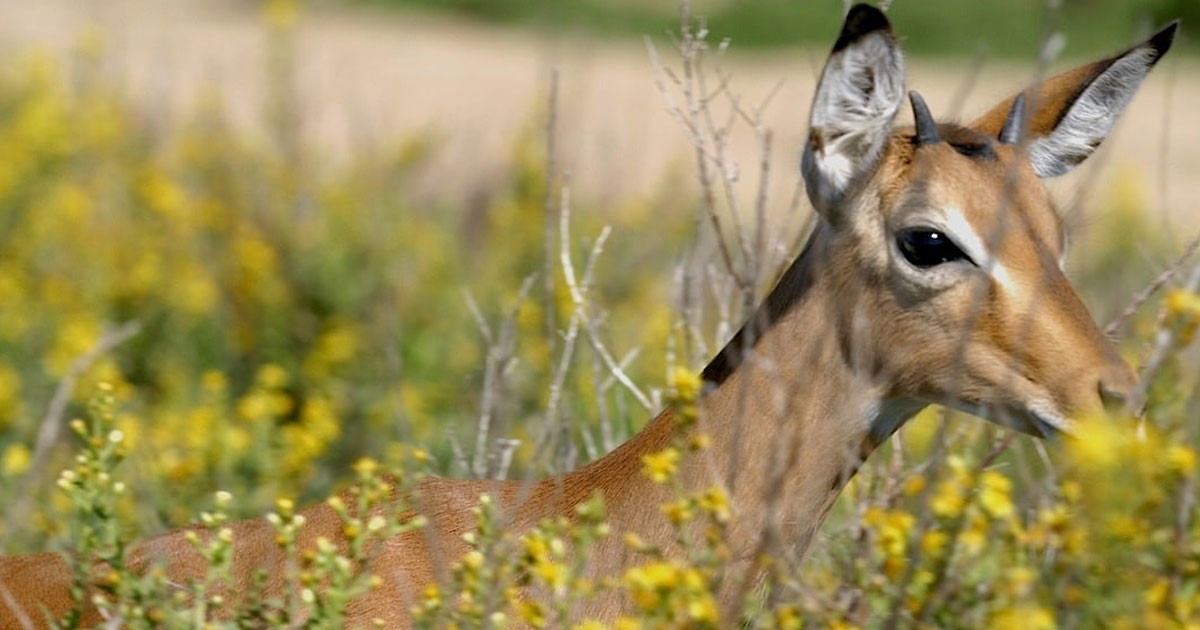 Cri du coeur – Photo Yoa© Cri du coeur