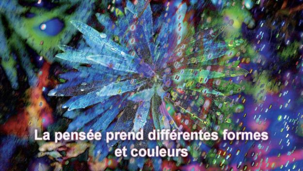 Entretien sur la Forme-Pensée - Photo Yoa©