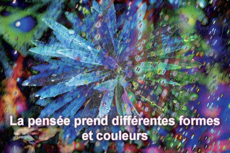 Entretien sur la Forme-Pensée – Photo Yoa© Entretien sur la Forme-Pensée - Photo Yoa©