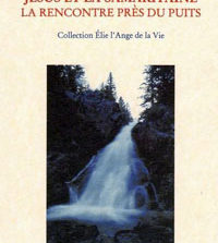 Livre Chamanisme Loup Blanc