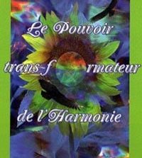 Livre Chamanisme Loup Blanc