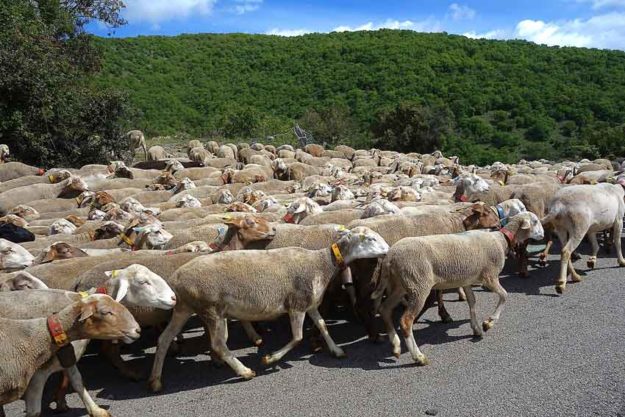 loupblanc-blog-habitudes