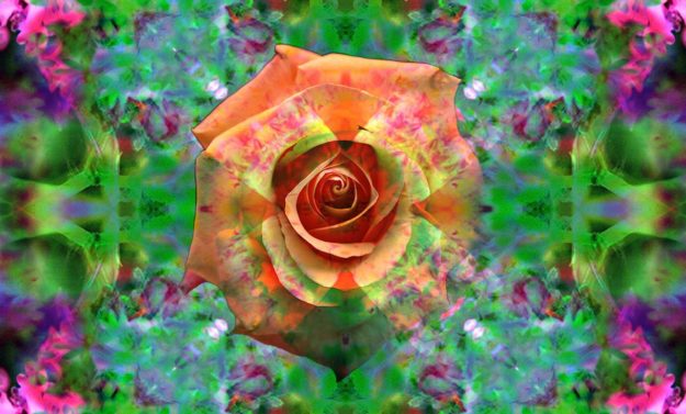 Entretien sur les 3 qualités -Photo YOA