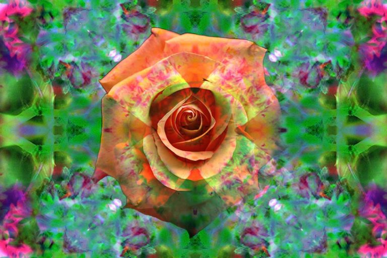 Entretien sur les 3 qualités – Photo YOA© Entretien sur les 3 qualités -Photo YOA