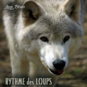 Rythme des Loups album musique