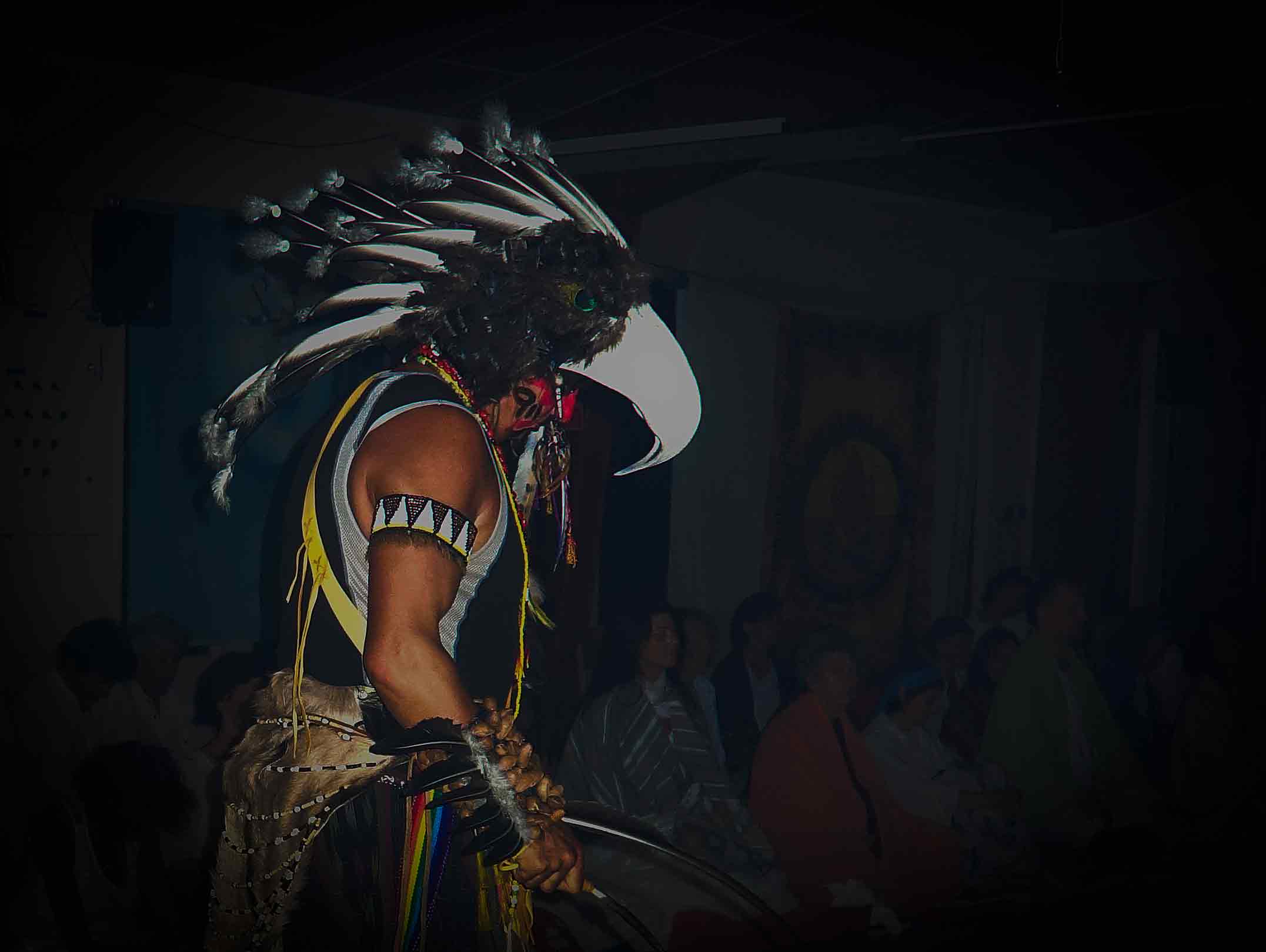 Danse Condor Chamanisme Loup Blanc