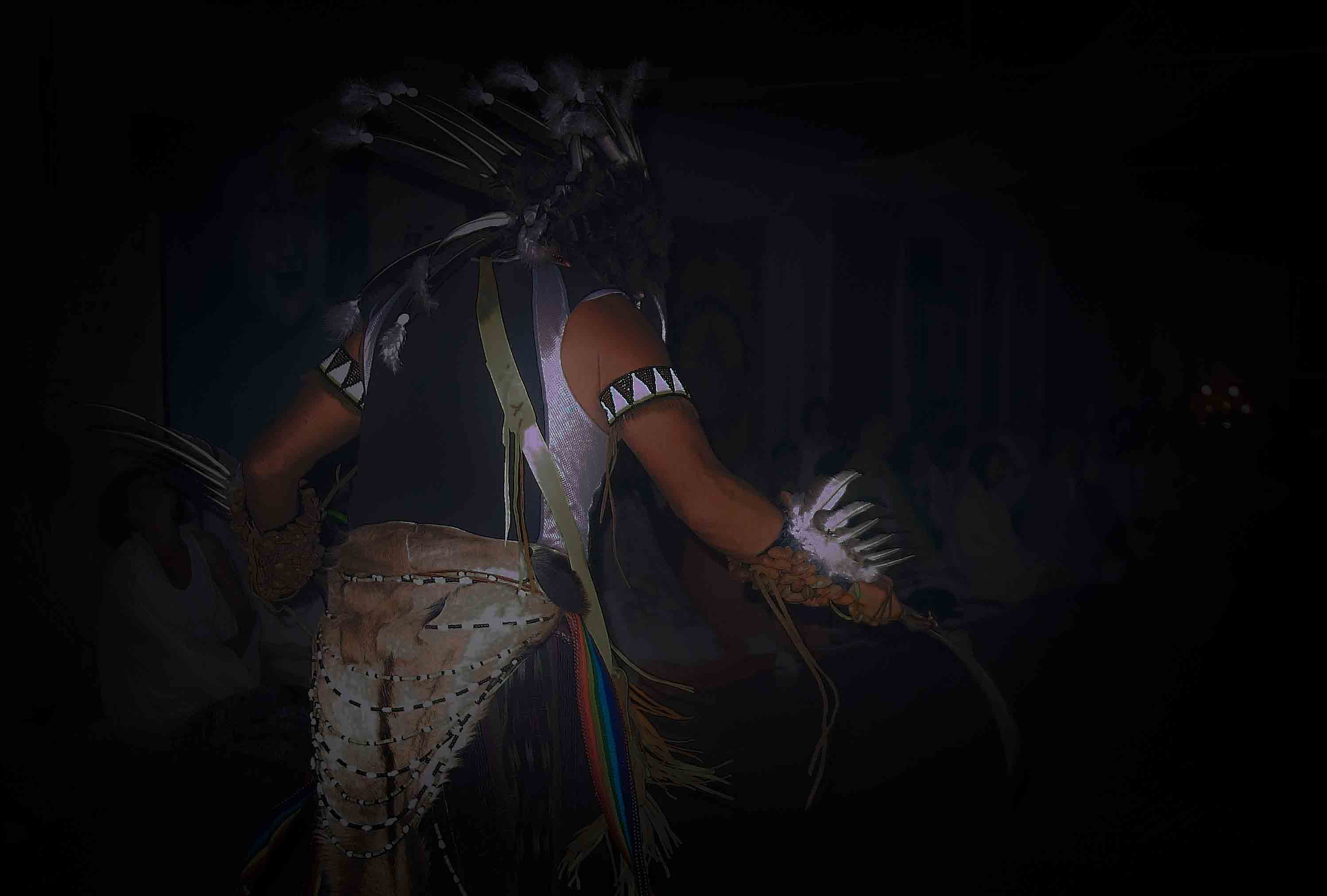Danse Condor Chamanisme Loup Blanc